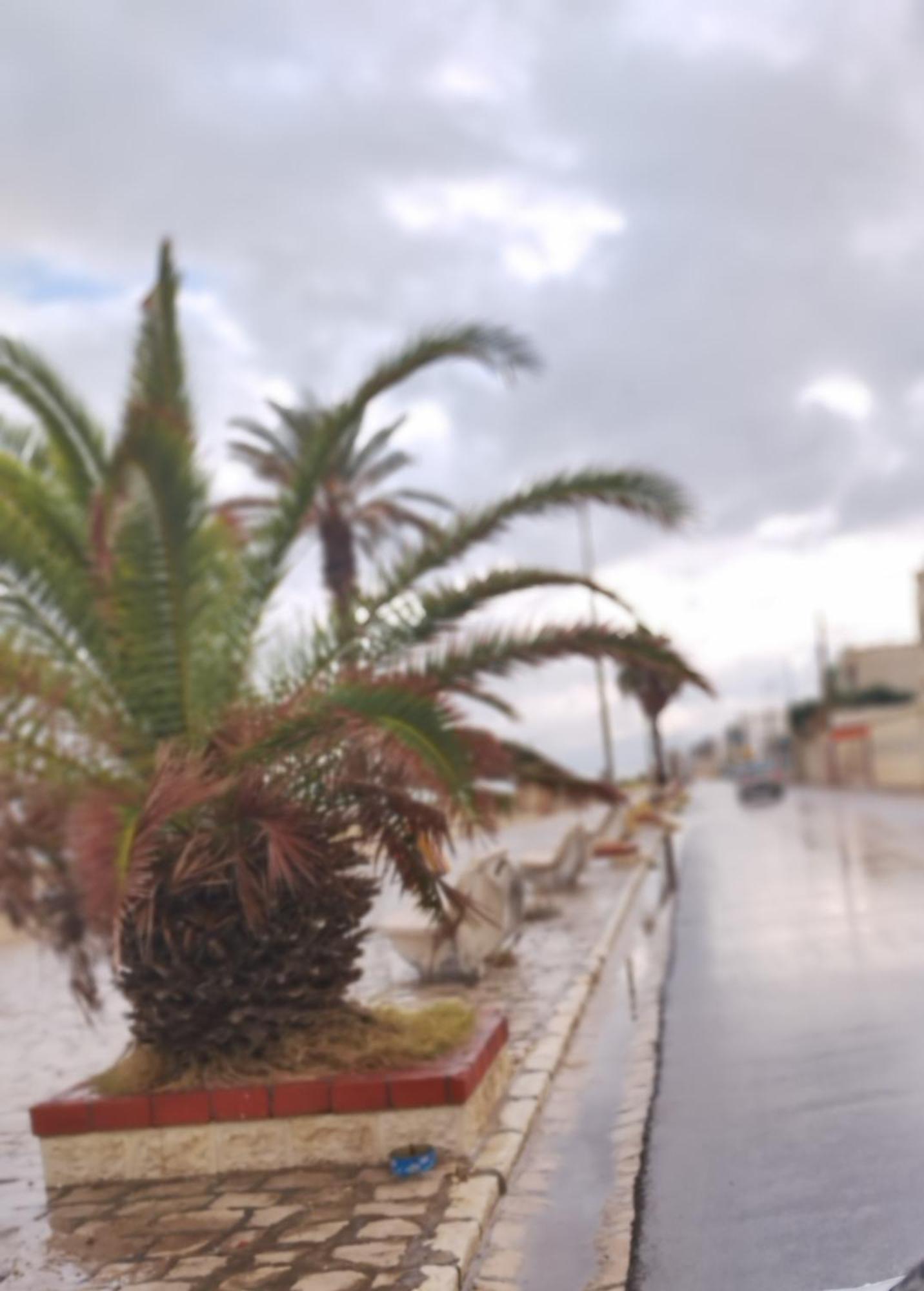Appartement Hammam-Lif Les Cyclamens Tunisie Afrique Ngoại thất bức ảnh